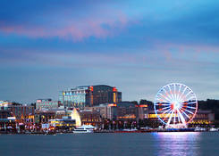 
                                                    National Harbor: National Harbor - The Capital Wheel
                                            