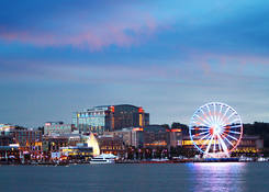 
                                                    North Cove: National Harbor
                                            