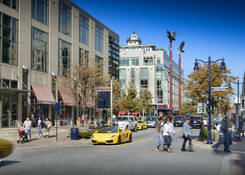 
                                                    National Harbor: Waterfront Street
                                            