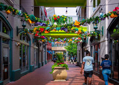 
                                                    Downtown Silver Spring: Breezeway
                                            