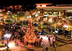 
                                                    Fairfax Corner: Fairfax Corner Tree Lighting
                                            